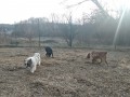 Chubacka-Arti-25.2.21