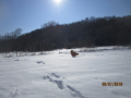 Babsi 28.1.208 2
