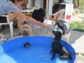 Baden mit Mia 6.8.2016