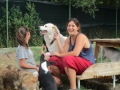 Ramona, Dobrin und Mia 7.8.2016