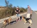 IMG-20161002-WA0011