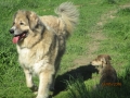 Sandra und Emeli 13.5.2016