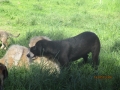 Sandra und Fredi 13.5.2016