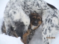 Mirta und Sisi 17.1.2016