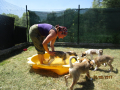 Ambars Familie Sommerbad 25.6.2017 4