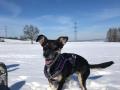Anouchka-14.2.21-aa