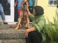 IMG-20170904-WA0041