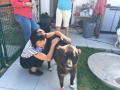 IMG-20170905-WA0083