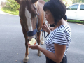 IMG-20170905-WA0086