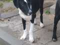 Luna-Doli-24.10.21