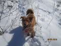Babsi 28.1.2018 1