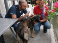 DSC01245a