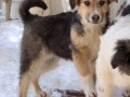 Blacky-9.2.20