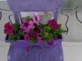 393193e1-ea77-4bd6-b578-17e0ad349dd1
