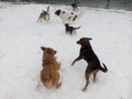 IMG-20161129-WA0002
