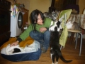 Eva mit Katzen und Reksi in der Kueche 7.4.2015 2.jpg