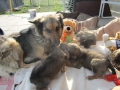 Sunny mit ihrer Toechterchen Aretha und Rada