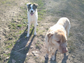 Maksi-Nina-16.4.20