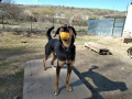 Mango-16.4.20-2