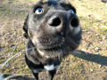 Ronja-16.4.20-2
