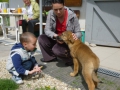 Wir-hatten-heute-Besuch-3.5.2015-2-Yoshy-952x1024.jpg