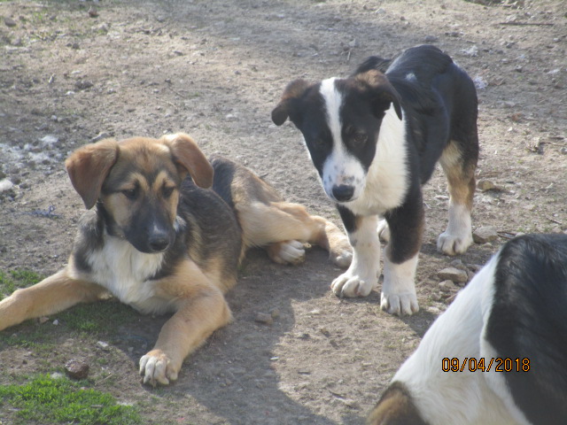 Mala und Sindi 9.4.2018