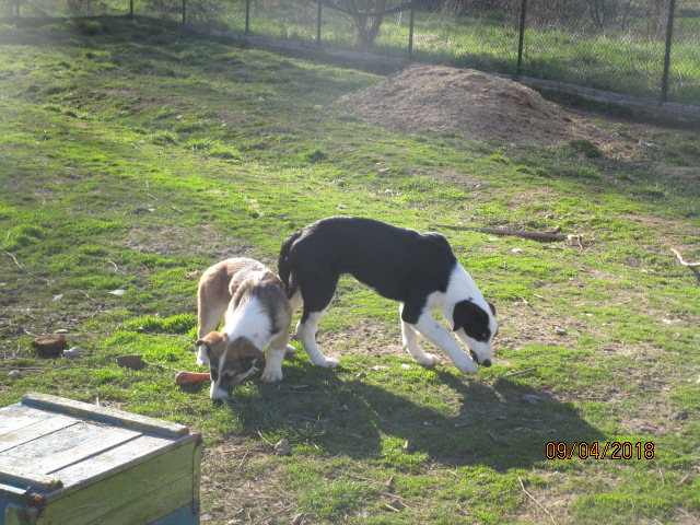Tzveta und Tascha 9.4.2018