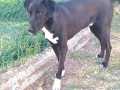 Balou-28.10.22