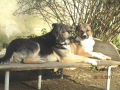 aNGELA UND mAITE 8.10.2017 3