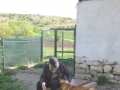 Hr.Milev und Hero 1.5.2015 - Kopie