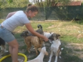 Lektion Sitz-Platz 30.8.2015 4 Chiko macht mit