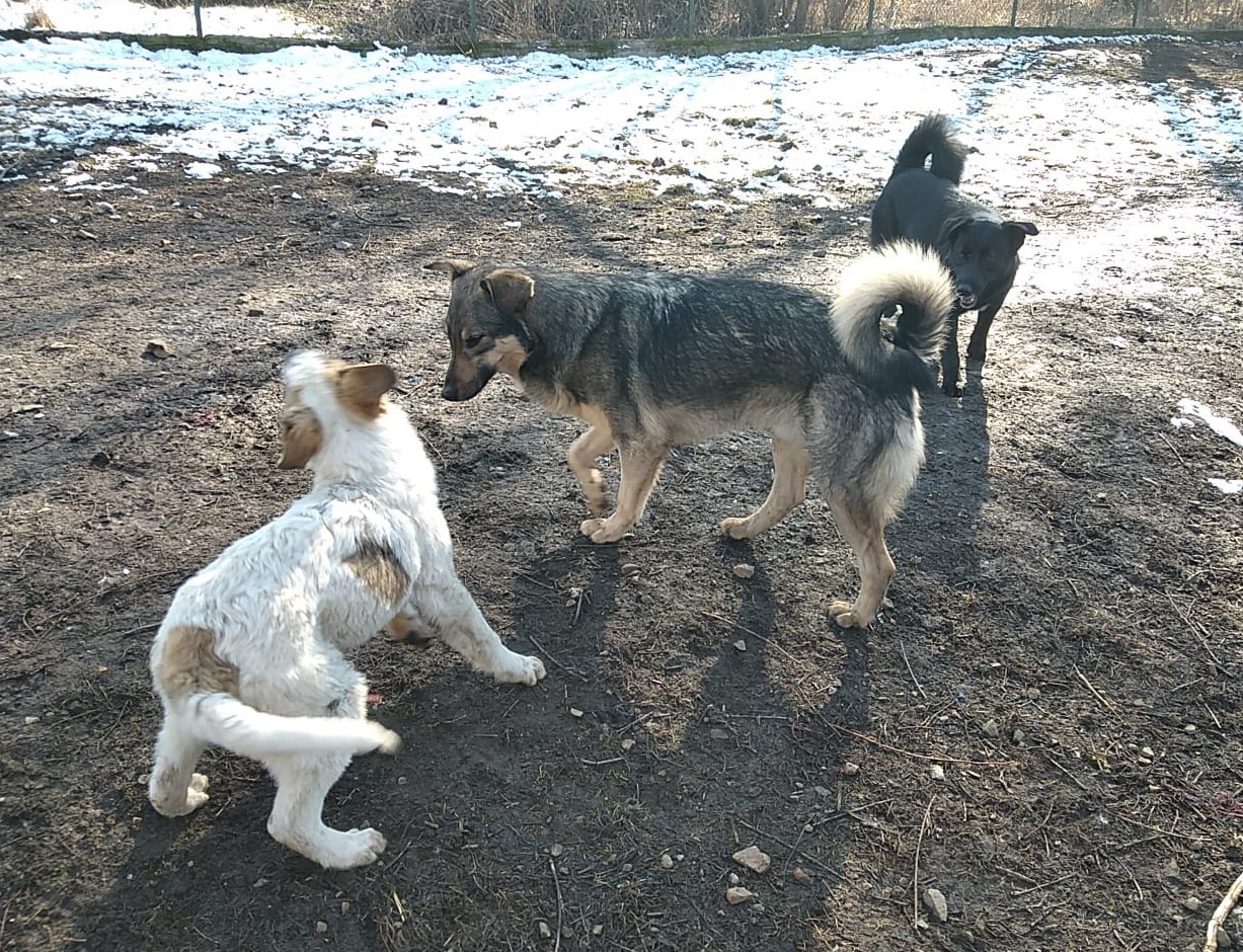 Atlas-Johny-Faith-29.2.20