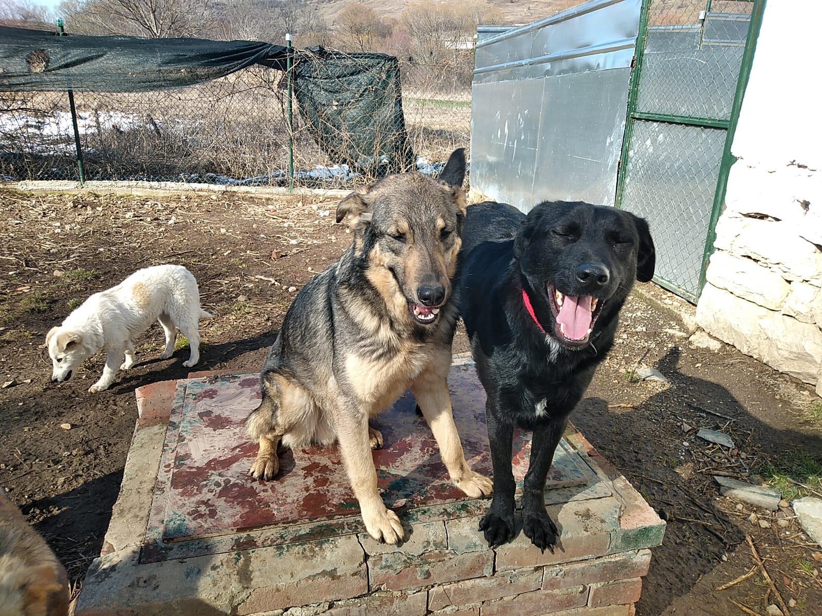 Holly-Johny-Toptcho-29.2.20