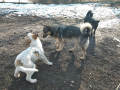 Atlas-Johny-Faith-29.2.20