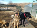 Kamillio-Johny-Toptcho-Holly-29.2.20