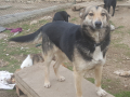 Angela 1.4.18