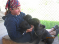 Lady, Nando, Simba und Magi 27.5.2018