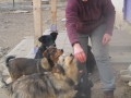Stiki bekommt Lekerliss 6.2.2017