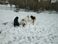 Djony-Faith-Nina-Aja-2.4.20