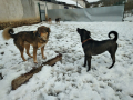 Pedro-Alessio-2.4.20