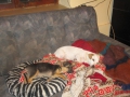 Diana und Mirta 7.11.2015 1