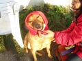 Hero, die Omi vom Rotkeppchen .... 7.11.2015