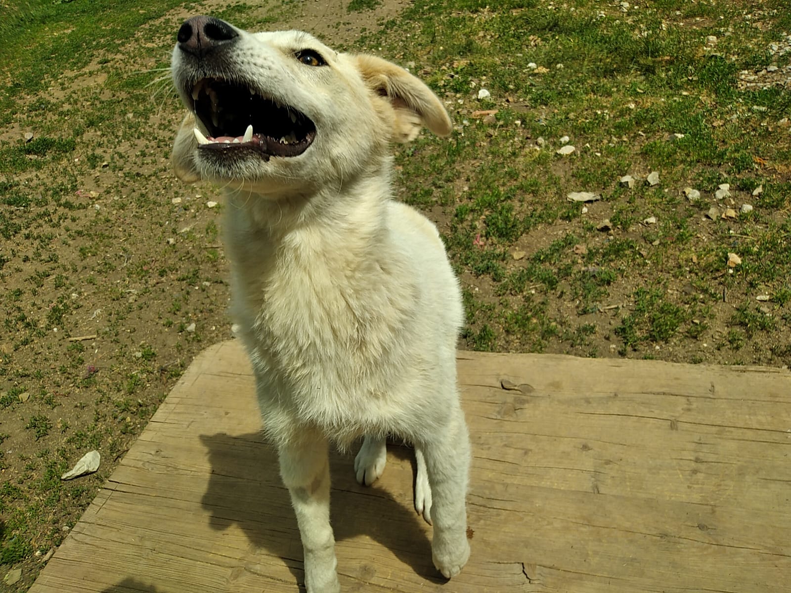Holly-18.5.20