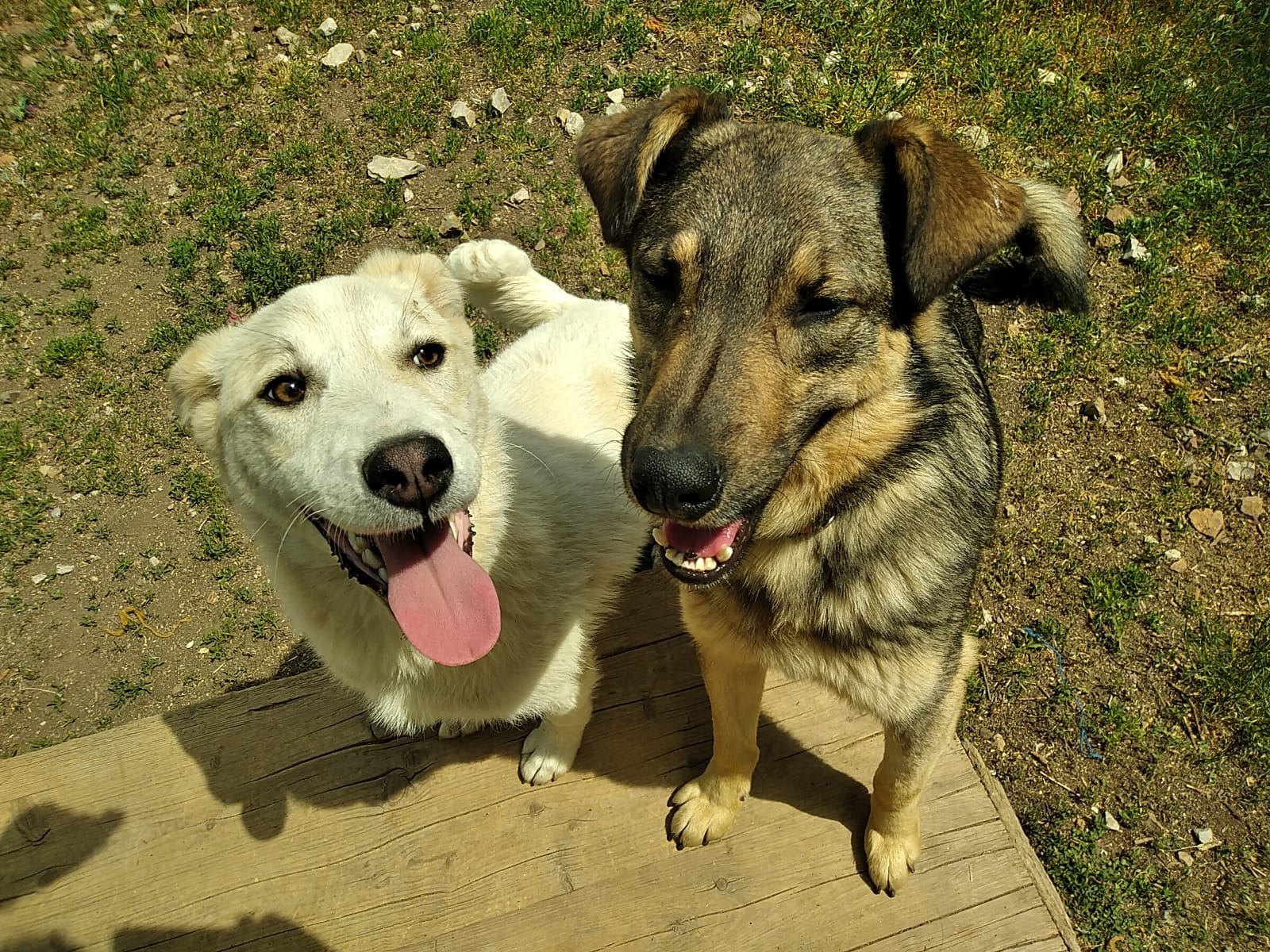 Holly-Djony-18.5.20