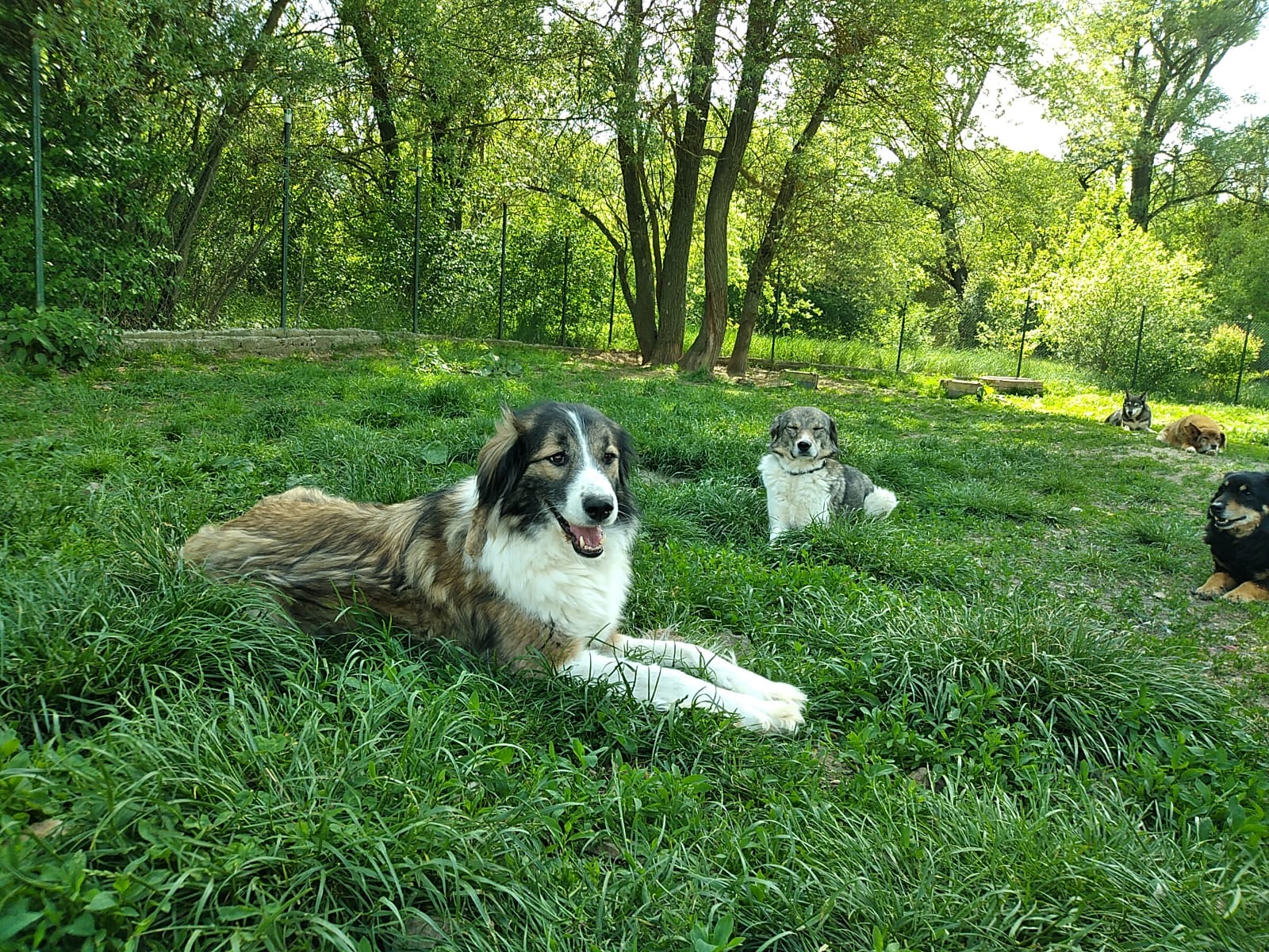 Metcha-Mika-18.5.20