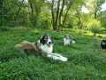 Metcha-Mika-18.5.20