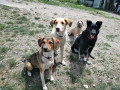 Robin-Djija-Marti-Arti-18.5.20