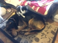 IMG-20151025-WA0012