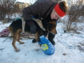 ...Jago mit seiner Retterin: Sie hat ihm ein Hüttchen neben ihrer Wohnung gebaut und wollte weiter für ihn sorgen, als ihr aber die lieben Nachbarn gedroht haben, die gemeinde zu benachrichtigen, damit sie denn Hund in den städtschen Isolator brächten, da hat sie in ihrer Verzweiflung Asja angerufen...
