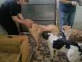 WhatsApp-Image-2026-06-03-a